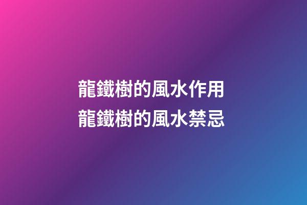 龍鐵樹的風水作用 龍鐵樹的風水禁忌